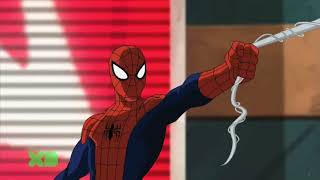 Disney XD Web India - Screenbug Placement (2025)