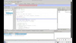 Debugging and profiling of MPI programs