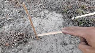 #1.Cách làm bẫy cút, bẫy cu...bẫy chim dưới đất. How to make a good quail trap | #QuangTVHoiAn