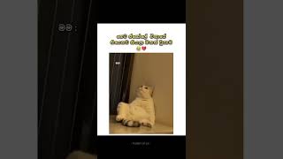 අනේ යාලුවනේ විභාග කියන්නෙ.🥺💔😂 #shorts #foryou #funny #fypシ゚viral #viralshorts