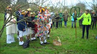 Wassail Jealott's Hill 2016