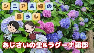 【シニア夫婦】形原温泉あじさいの里とラグーナ蒲郡/60代夫婦/あじさいの里/イカ焼き🦑