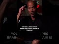 Control your brain or you're done! | David Goggins