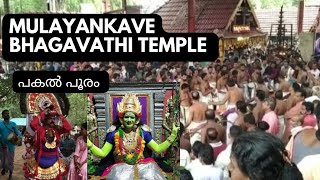 Sree Mulayankavu Bhagavathi Temple /മുളയങ്കാവ് പൂരം 2022/Mulayankavu Pooram fest 2022@sruthisvlog5474