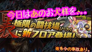 【パズドラ】今日はあのキャラで裏異形へ!!  37日目!! 【超転生アヌビス】