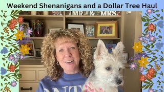 Weekend Shenanigans and a Dollar Tree Haul #weekendshenanigans #weekend #dollartreehaul