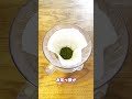 アイス緑茶のレシピの開発③