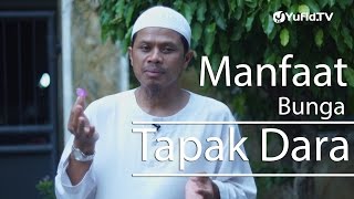 Ceramah Singkat : Manfaat Bunga Tapak Dara - Sinshe Abu Muhammad Faris Al Qiyanji