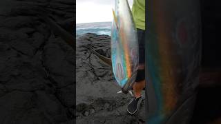 A RAINBOW TUNA