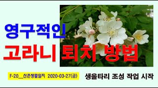 F-20__고라니 침입을 영구적으로 차단할 방법은 생울타리 뿐이라고 보고 그 식재를 시작하며 이후 3~5년간 진행 과정을 기록으로 업로드할 예정입니다.