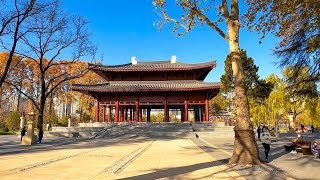 【4K】西安兴庆宫公园有变化了，漫步兴庆宫，了解西安的风土人情。 Xi'an streetscape humanities, city life,西安街景。（一）