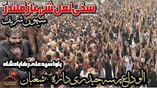 Bawa Ali Raza Badshah Sehwan Urs 2025|Haji Ansar Party Nohay 2025|Lal Shahbaz Qalandar|Haidari Daria