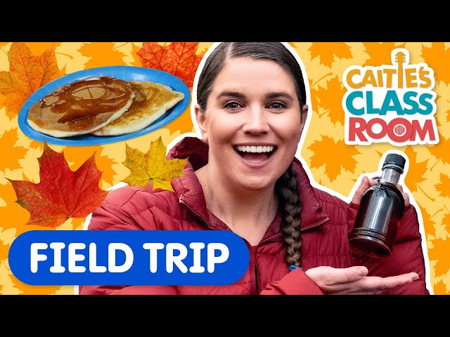 Learn About Making Maple Syrup Caitie S Classroom Field Trip Super