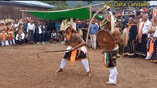 CACI CONGKO LOKAP GENDANG LENTENG LELAK MANGGARAI (Lelak VS Ndoso)