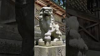 洞川八幡宮 #パワースポット #nara #shorts #天川村 #洞川八幡宮 # #自然 #感謝 #神社