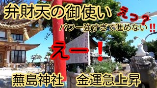 【No.61初めてパワーが強すぎで進めない現象　弁財天のお使いのパワー金運急上昇・蕪島神社】