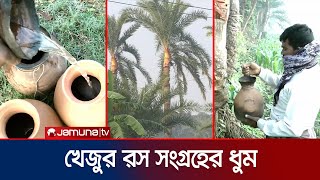 শীতের আগমনীর সাথে সাথে চুয়াডাঙ্গায় খেজুরের রস সংগ্রহে ব্যাস্ত অনেকেই | Chuadanga Winter | Jamuna TV