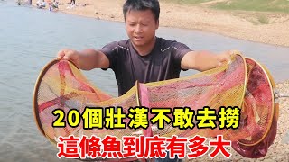 6米的魚竿被拉入水中，20個壯漢不敢去撈，這條魚到底有多大【石頭秀】