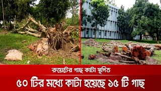 রুয়েটে প্রতিবাদের মুখে গাছ কাটা স্থগিত, প্রকল্প বাস্তবায়ন প্রধানকে জিজ্ঞাসাবাদ | Ruet