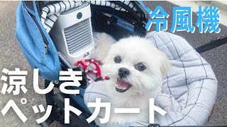 愛犬のペットカートに暑さ対策をして涼しくなりました / マルチーズ×ペキニーズ