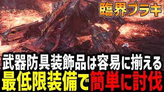 【MHW:I】猛り爆ぜるブラキディオス(臨界ブラキ)を最低限の装備で簡単に討伐する方法を解説！！！