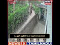 elephantattack கூடலூர் பகுதியில் உலா வரும் காட்டு யானை elephantviralvideo gudalur tamilnews