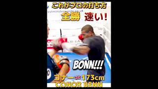 【23戦全勝14KO】豪腕ベン🇬🇧 173cm 66Kg ボクシング Conor Benn