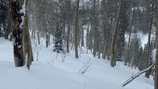 Surviving The Night In Northern MN - Timber Twins