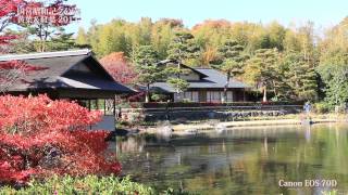 昭和記念公園の紅葉 2013（EOS 70DとCX720Vで撮影）