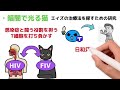 遺伝子組み換え動物の作成方法や実際例！メリットやデメリットは？