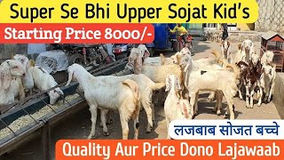 SOJAT QURBANI 2025 KE LIYE BKARE AVAILABLE ☎️ 9636507617