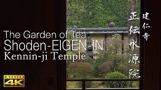 [4K] 正伝永源院 ・建仁寺　茶の湯の庭　京都の庭園　The Garden of Tea SHODEN-EIGEN-IN [4K]