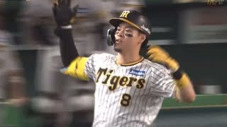 佐藤輝明vs甲子園の浜風 2024