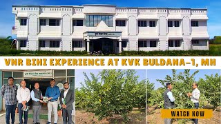 ICAR - KVK Buldana- 1, Maharashtra experience sharing of VNR Bihi Guava/ वीएनआर - बीही अमरुदका अनुभव