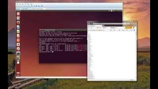 Exploiting the Bash Shellshock Vulnerability