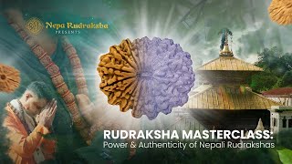 Uncover the Power of Rudraksha | The Divine Bead of Lord Shiva | Nepa Rudraksha