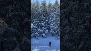 Barouk Cedars Reserve 🌲⛷️