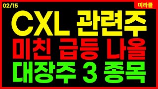 CXL 관련주 🔴미친 급등 임박 Best 3! 완벽 정리! HBM이어 CXL이다! ai반도체 대장주 삼성전자 sk하이닉스 네오셈 티엘비 퀄리타스반도체 코리아써키트 엑시콘 미라클