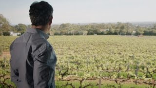 Discover Penfolds Magill Estate Shiraz