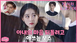 아내의 마음을 되돌려고 애쓰는 보스~ 「정서원나요가애 |  Cute Programmer」| WeTV