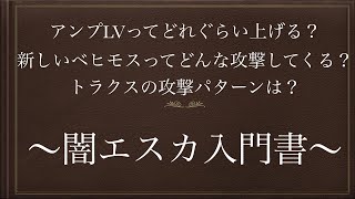 【ドーントレス】闇エスカに１日休日を注ぎ込んだ男が語る、闇エスカのアレコレをご紹介！