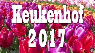 KEUKENHOF 2017 (Jardin de l'Europe). Full HD.