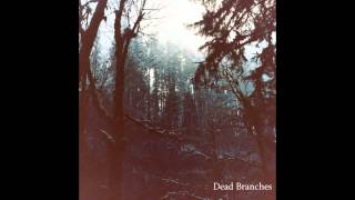 Dead Branches - Jump Into The Well