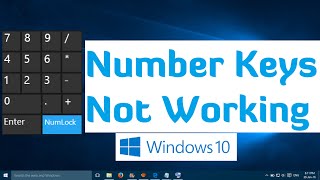 Number Keys not Working in Windows 10 and Windows 11 - 1 Simple Fix