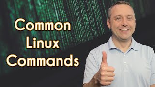Linux Commands I Use All the Time