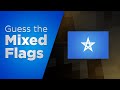 Can You Guess The Mixed National Flags?