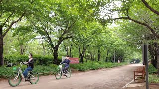 따릉이 타고 서울숲에서 한강까지🚲 아빠랑 자전거 타기🚲