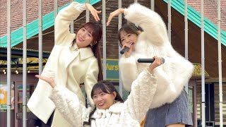 【4K LIVE動画】Swipe UP Day! /エイアイカ 東京ドイツ村SPイベント エイアイカ\u0026TENDERLAMP（AMI）ミニ2マンライブ 2025/02/01