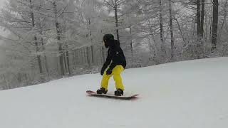 Nagano for New Year's | Snowboarding | Madarao, Japan | 2020