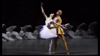 Tsiskaridze & Pavlenko - Vikharev Reconstruction Bayadere Act 3 Excerpts